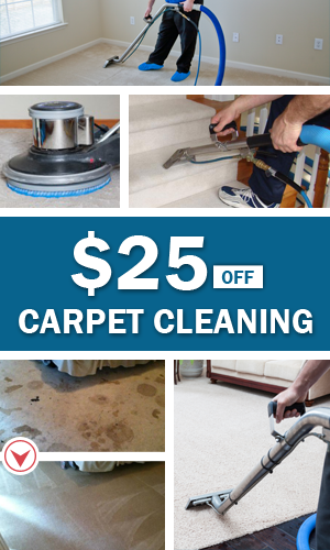 save money and clean your carpet